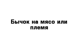 Бычок на мясо или племя